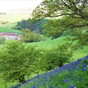 Bluebells Chop Gate